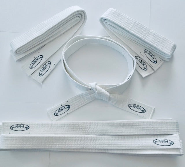 Kidini Karate Teacher Certification & Licensing Course with Start Bundle